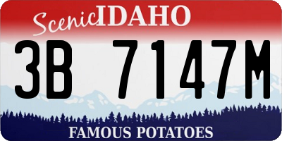 ID license plate 3B7147M