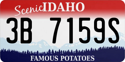 ID license plate 3B7159S