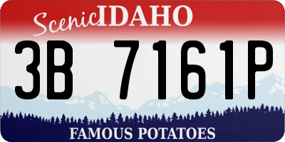 ID license plate 3B7161P