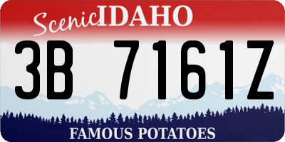 ID license plate 3B7161Z