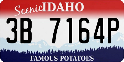 ID license plate 3B7164P