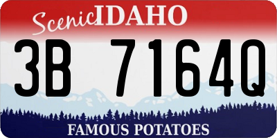 ID license plate 3B7164Q