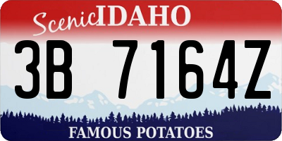 ID license plate 3B7164Z