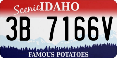 ID license plate 3B7166V