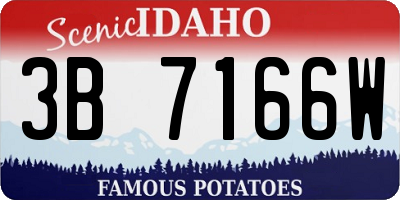 ID license plate 3B7166W