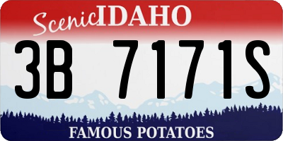 ID license plate 3B7171S