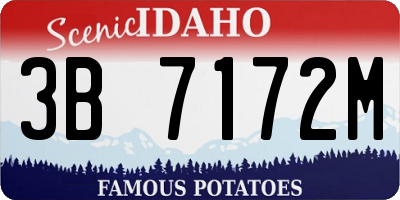 ID license plate 3B7172M