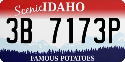 ID license plate 3B7173P