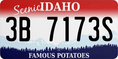 ID license plate 3B7173S
