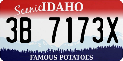 ID license plate 3B7173X