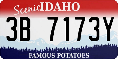 ID license plate 3B7173Y