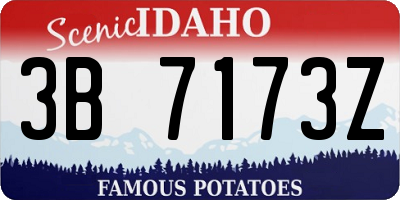 ID license plate 3B7173Z