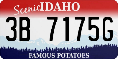 ID license plate 3B7175G
