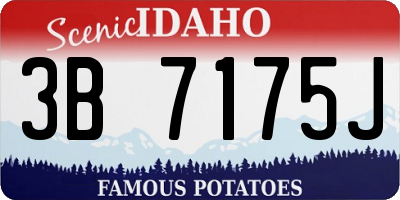 ID license plate 3B7175J
