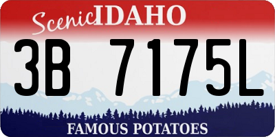 ID license plate 3B7175L