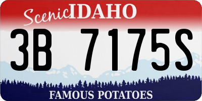 ID license plate 3B7175S