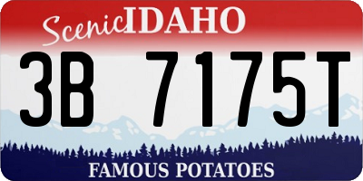 ID license plate 3B7175T