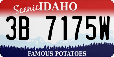 ID license plate 3B7175W