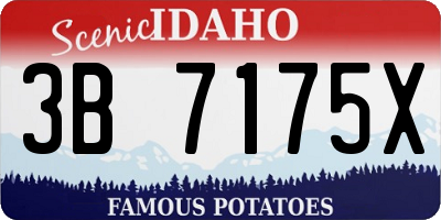 ID license plate 3B7175X