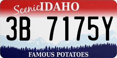 ID license plate 3B7175Y