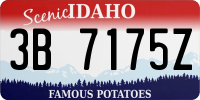 ID license plate 3B7175Z