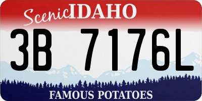 ID license plate 3B7176L