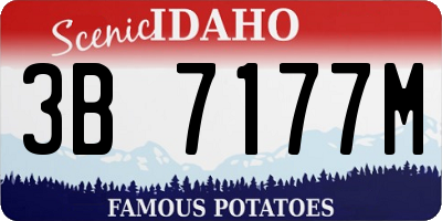 ID license plate 3B7177M