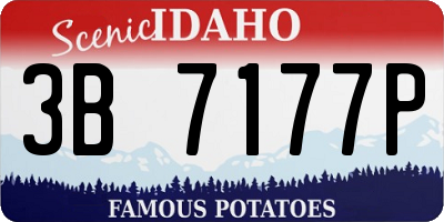 ID license plate 3B7177P