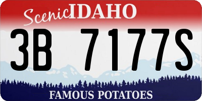 ID license plate 3B7177S