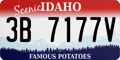 ID license plate 3B7177V