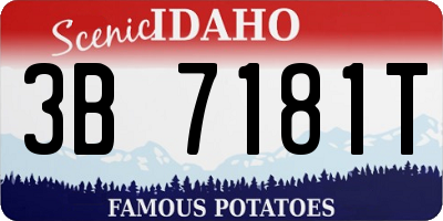 ID license plate 3B7181T