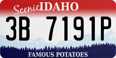 ID license plate 3B7191P
