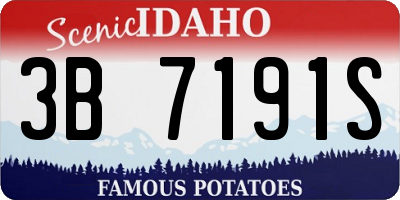 ID license plate 3B7191S