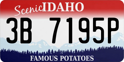 ID license plate 3B7195P