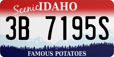 ID license plate 3B7195S