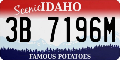 ID license plate 3B7196M