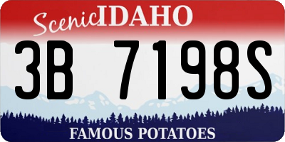 ID license plate 3B7198S