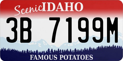 ID license plate 3B7199M
