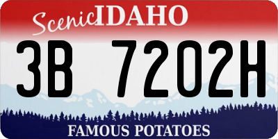 ID license plate 3B7202H