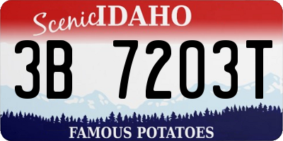 ID license plate 3B7203T