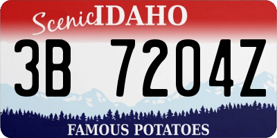 ID license plate 3B7204Z