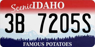 ID license plate 3B7205S