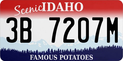 ID license plate 3B7207M