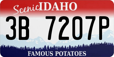 ID license plate 3B7207P