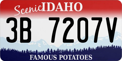 ID license plate 3B7207V