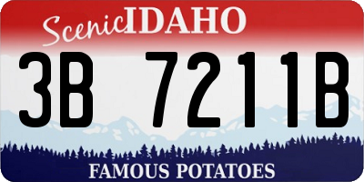 ID license plate 3B7211B