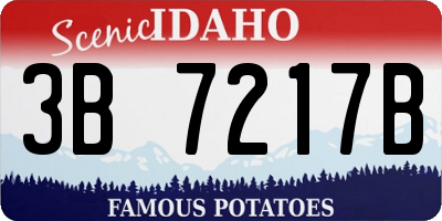 ID license plate 3B7217B