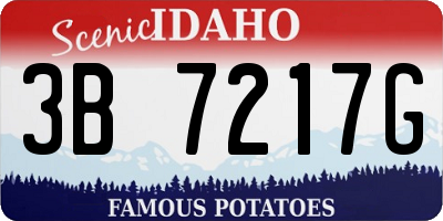 ID license plate 3B7217G