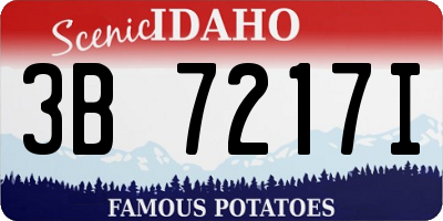 ID license plate 3B7217I