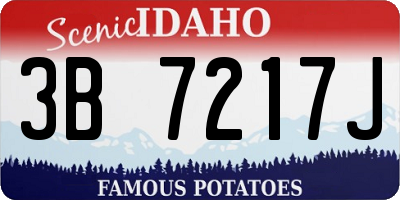 ID license plate 3B7217J